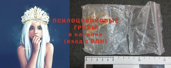 твердый Арсеньев