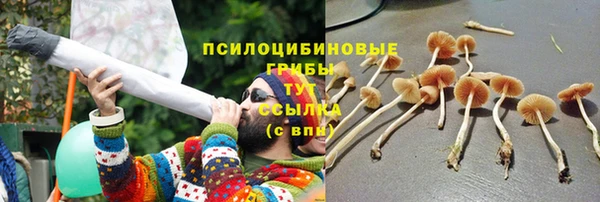 твердый Арсеньев