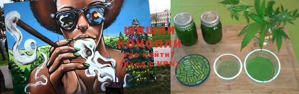 дмт Алексин
